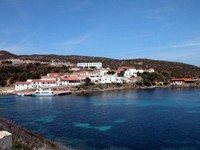 asinara--39-.jpg