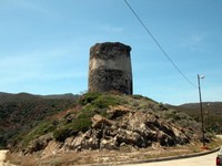 asinara--40-.jpg