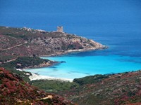 asinara--47-.jpg